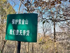-紫金山山顶公园