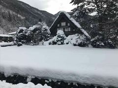 -名古屋城