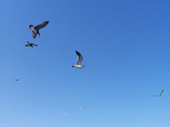 -长岛南北长山旅游景区