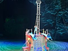 -广州长隆国际大马戏