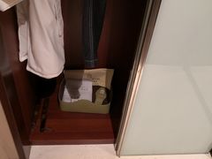 -广州珠江新城维多利酒店