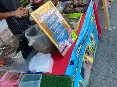 -瓜镇夜市