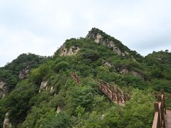 -大岭沟猕猴桃谷风景区