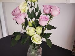 -双季花艺园艺市场(浦东店)