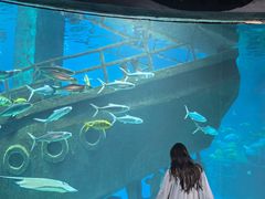 -福州罗源湾海洋世界旅游区