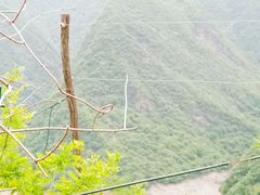 景点-黑河国家森林公园