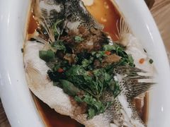 -永記粤菜·五指毛桃花雕鸡煲(九亭店)