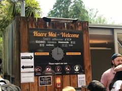 -怀托摩萤火虫洞