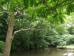 -热田神宫