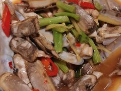 -南蚝小贝海鲜特色餐厅(南澳岛店)