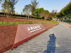 -上海山野camping·户外天幕烧烤·团建拓展营地
