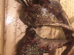 -The Cheebat 锌吧·Bistro(体育西店)