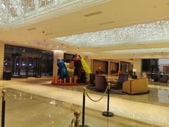 -上海中航虹桥机场泊悦酒店