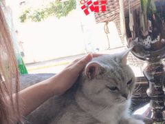 -不舍昼夜咖啡馆