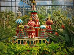 -南宫五洲植物乐园