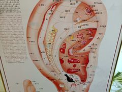 -川耳坊专业采耳馆