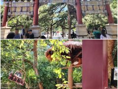 -潭柘寺景区