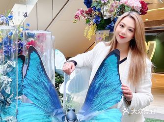 上海保利时光里｜进入蓝色.蝴蝶的山谷
