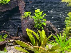 -上海海洋水族馆