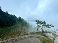 -龙脊梯田