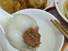 鲜肉汤圆-利达汤圆馄饨(川公路店)