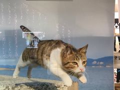 -Moka Bros 摩卡站(西单大悦城店)