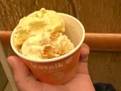 -绿城千岛湖喜来登度假酒店