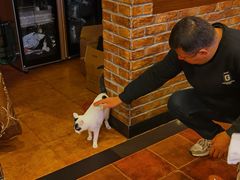 -维吾尔餐厅(宜山路店)