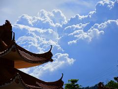 -深圳仙湖植物园