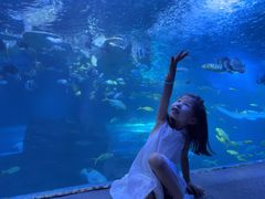 -太平洋海底世界