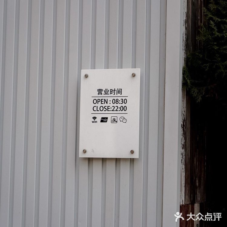 上海咖啡探店005|🆘我居然在上海找到这么大落地窗的咖啡馆