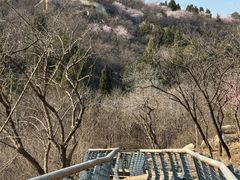 -白水寺森林公园