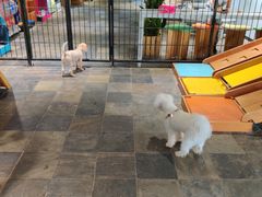 -太阳岛度假酒店