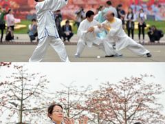 -芦苞胥江祖庙