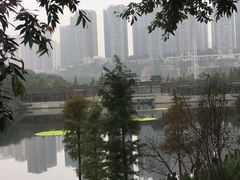 -重庆彩云湖湿地公园
