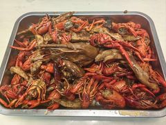 -天鹅到家·保姆月嫂育儿嫂(两江店)