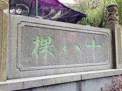 门面-十八棵（老龙井）御茶园(老龙井店)