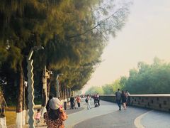 -宝安西湾红树林湿地公园