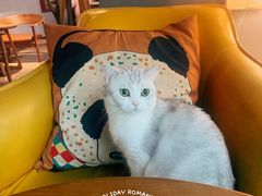 -咖法森林·咖啡  酒吧(天河店)