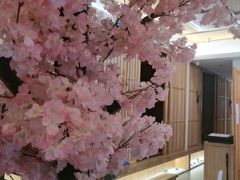 -樱之味精致料理融合餐厅