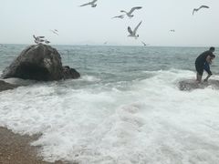 -海驴岛(荣成市)