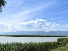 -哈素海