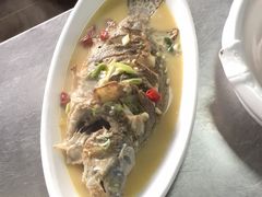 家常炖鳌花鱼-佳肴小居