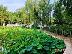 -康庄公园