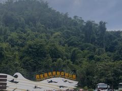 -西双版纳原始森林公园