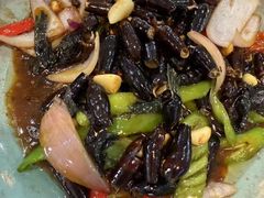 -芭厘农庄老字号·清远鸡