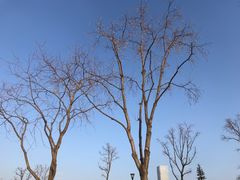 -上海山野camping·户外天幕烧烤·团建拓展营地