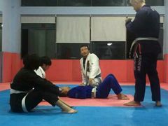 -金翼跆拳道巴西柔术拳击格斗学院