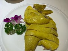 竹林白斩鸡-后宫私房菜(汇客美食娱乐广场店)