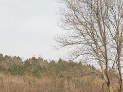 -南翠屏公园